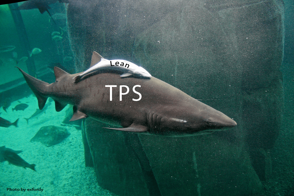TPS Shark Lean