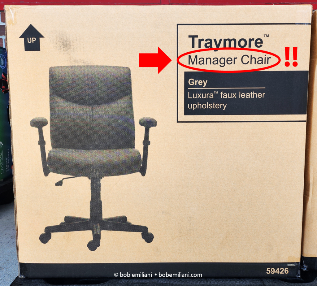 The Manager’s Chair